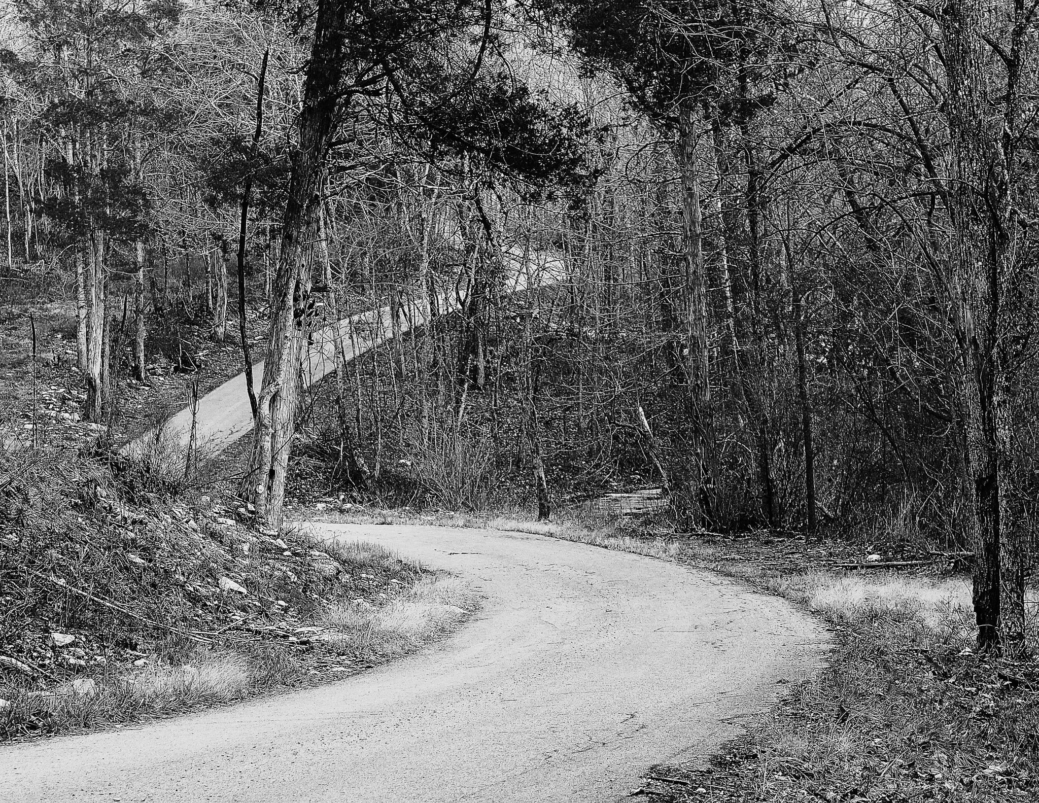 Photograph of a Ghost