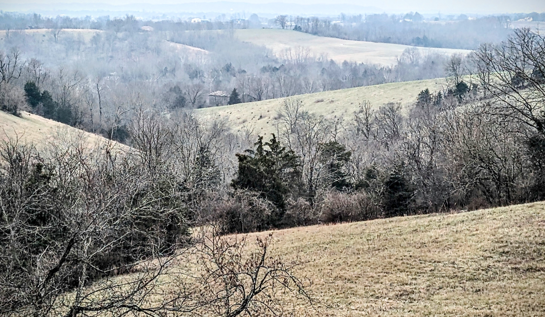 Grainy Photograph of a Vista